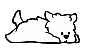 Image Oops